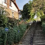 Bonjour 파리